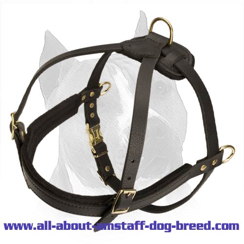 Super Comfortable Amstaff Breed Dog Harness For Pulling And Safe Walking
