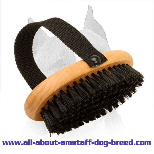 Nylon Bristle Pet Grooming Brush