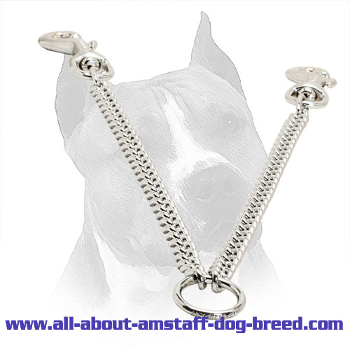 Chrome Plated Amstaff Coupler for Walking 2 Dogs 1/9 inch (3 mm)