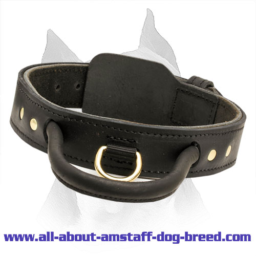 strong dog collars