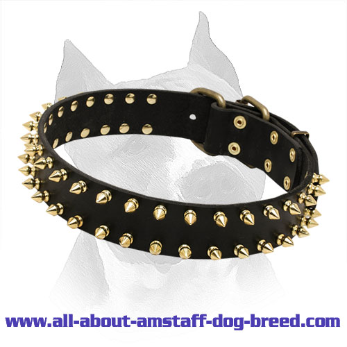 Stylish Spiked Leather Collar for Amstaff Dog Breed