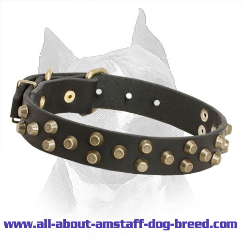 3 Rows Studded Leather Amstaff Collar