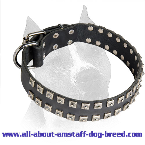 2 Rows Studded Leather Amstaff Collar