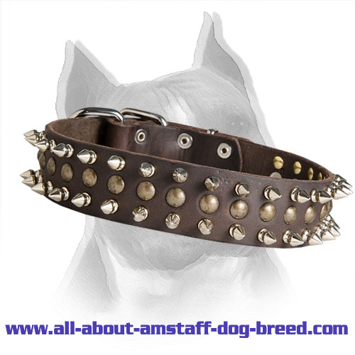 Spiked and Studded Passion Leather Dog Collar for Amstaff