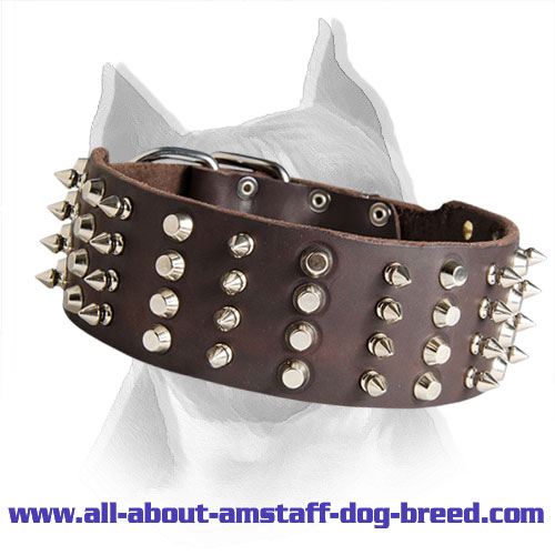 2 inch Leather Spiked and Studded Amstaff Dog Collar