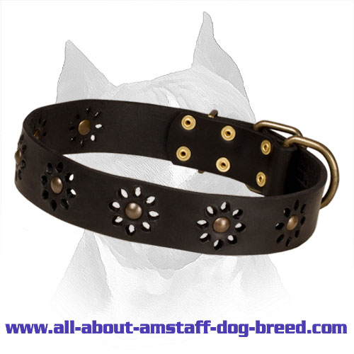 'Spring mood' Leather Amstaff Collar with Amazing Punched Flowers