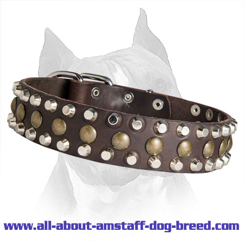 Leather Amstaff Collar Combined Fittings - Custom Made Leather Collars For Dogs Leather Amstaff Collar Combined Fittings - Custom Made Leather Collars For Dogs