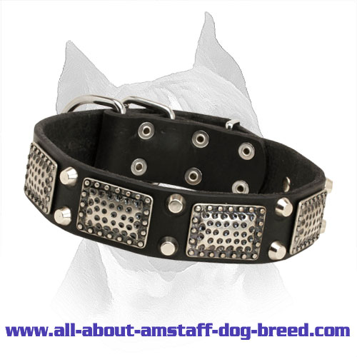 Amstaff Leather Collar with Nickel Pyramids and Massive Plates