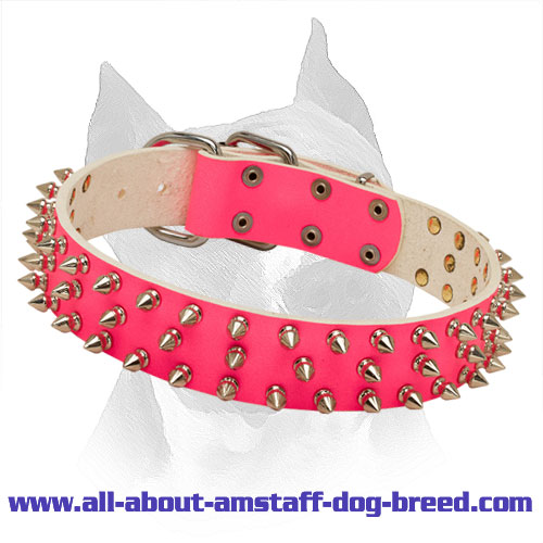 spiked pink collar