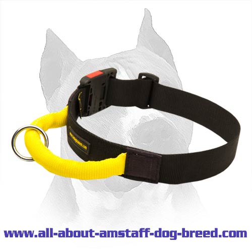 Practicable All Weather Nylon Dog Collar For American Staffordshire Terrier