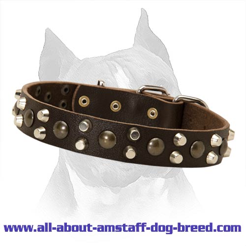 Elegant Dog Collar With Pyramids And Studs For American Staffordshire Terrier