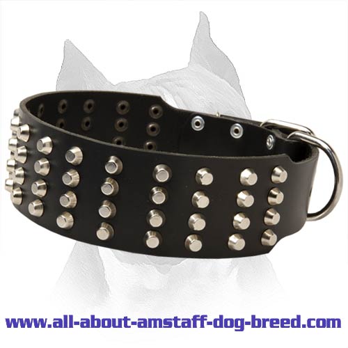 Wide Studded Leather Dog Collar For American Staffordshire Terrier