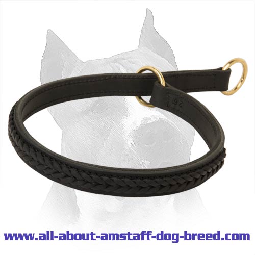 Gorgeous Wide 2 Ply Amstaff Breed Leather Choke Dog Collar