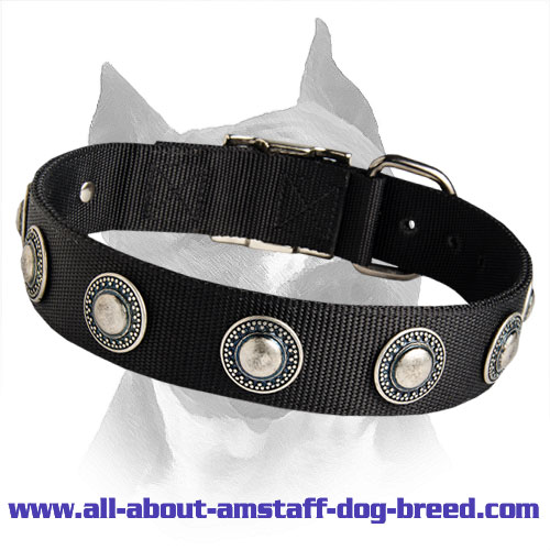 Order All Weather Nylon Amstaff Collar