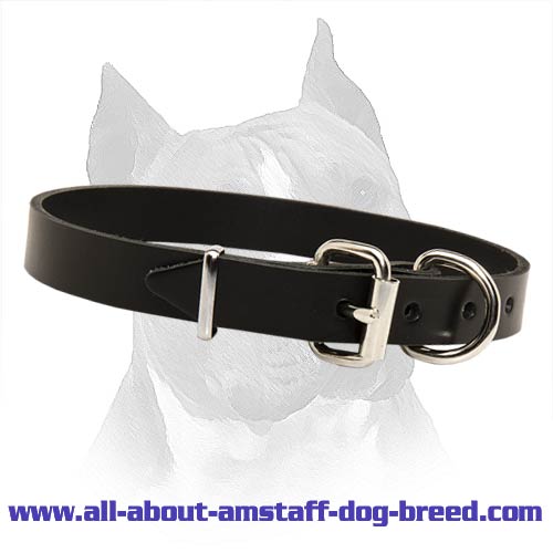 Leather Field Dog Collar for Amstaff