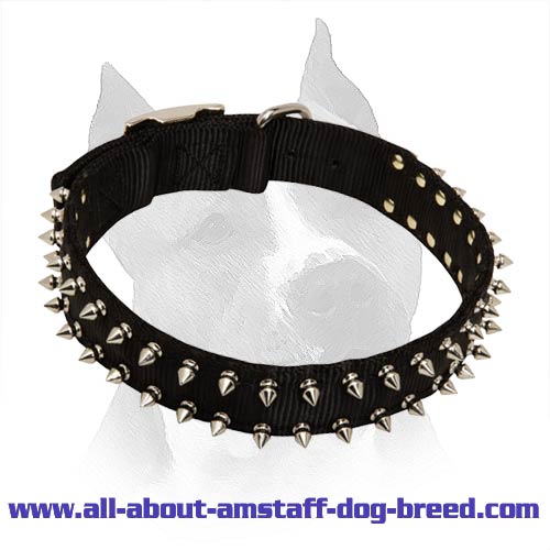 Order All Weather Nylon Amstaff Collar