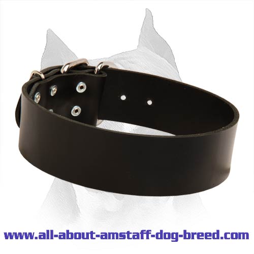 Extremely Wide All Weather Amstaff Dog Leather Collar