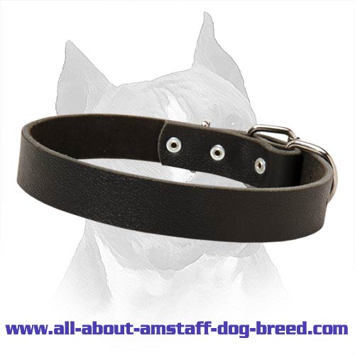 Strong Easily Adjustable Amstaff Dog Leather Collar