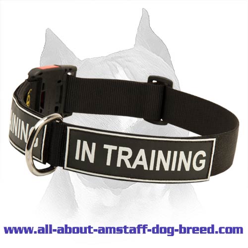 Order All Weather Nylon Amstaff Collar