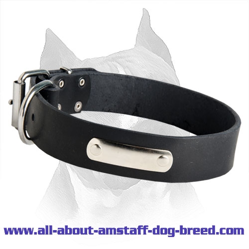 Leather Dog Collar With Id Tag For Your Amstaff Dog Breed