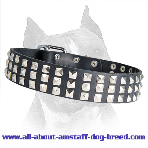 Beautiful Silver Pyramids Leather Dog Collar For Amstaff Dog Breed