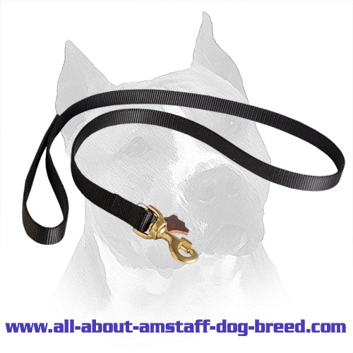 Amstaff Nylon Dog Leash Tracking