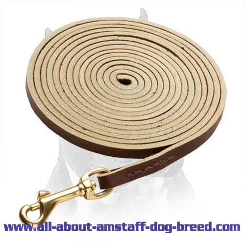 Comfy Tracking Amstaff Breed Leather Dog Leash