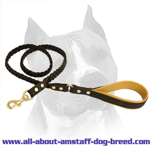 Handmade Braided Leather Dog Leash For Amstaff Dog Breed