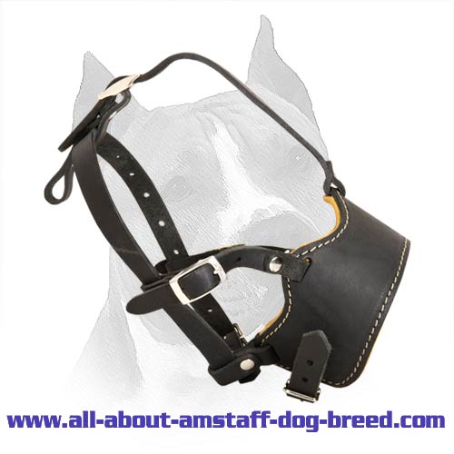 Nappa Padded Leather Dog Muzzle For Amstaff Breed