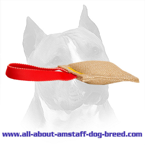 Manually Stitched Amstaff Bite Tug for Puppy Training - Click Image to Close