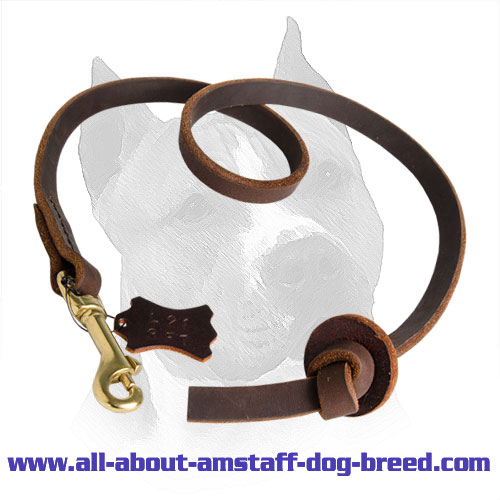 Practicable Pocket Leather Amstaff Leash for Easy Dog Control