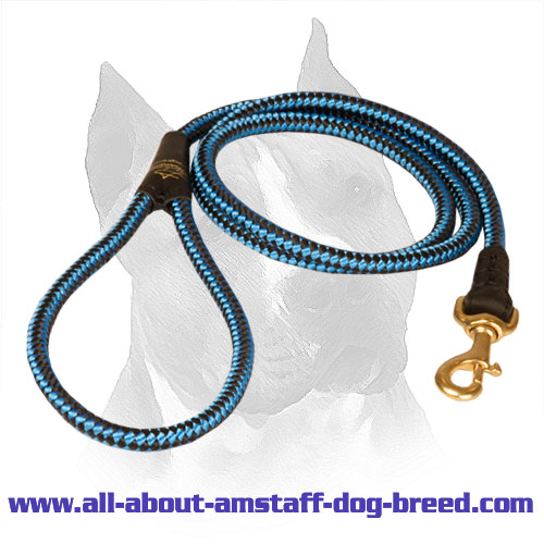 Cord Nylon Amstaff Leash for Comfortable Walking