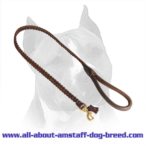 Braided American Staffordshire Terrier Leather Dog Leash
