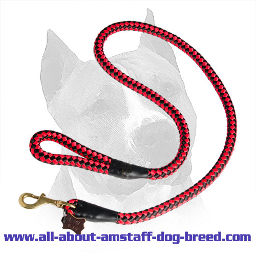 5 foot Round Nylon Leash With Brass Snap for Amstaff