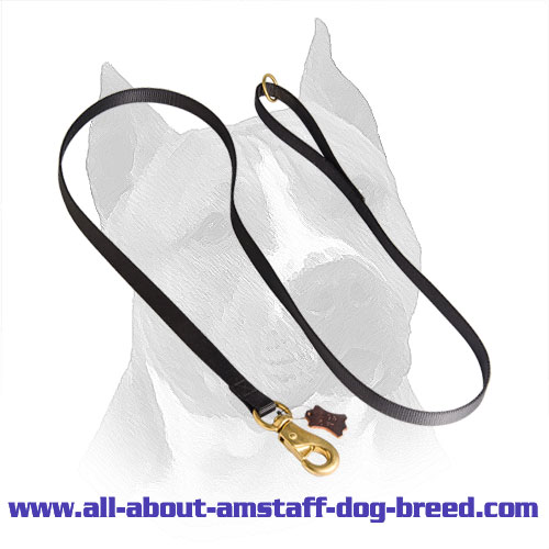 All Weather Tracking, Training, Walking Nylon Amstaff Dog Leash