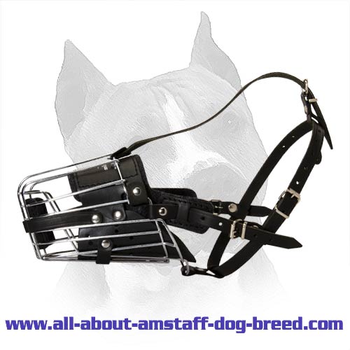 'No Mash' Leather And Wire Training Amstaff Dog Muzzle