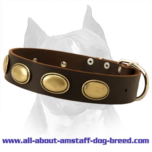 High Quality Amstaff Leather Dog Collar With Oval Vintage Plates