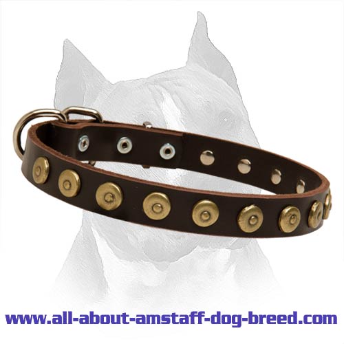 Gorgeous Leather Dog Collar With Dotted Circles For Amstaff Dog Breed