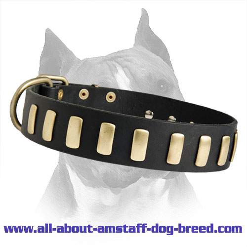 Fantastic Wide Leather Dog Collar With Plates