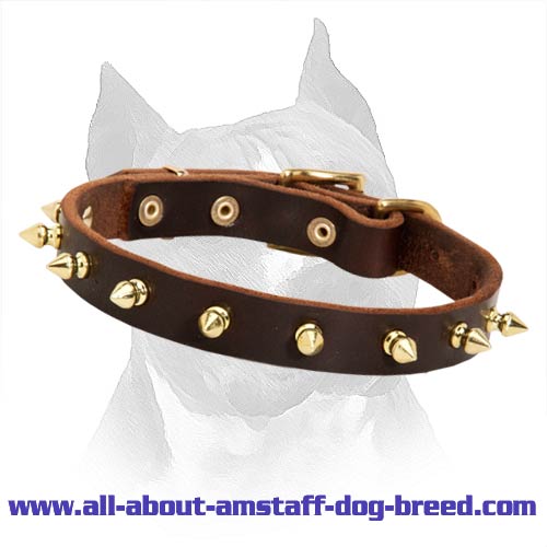 Multifunctional Spiked Leather Dog Collar For Amstaff