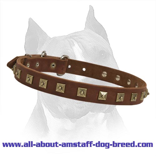 Fashionable Studded Leather Dog Collar For Amstaff Dog Breed - Click Image to Close