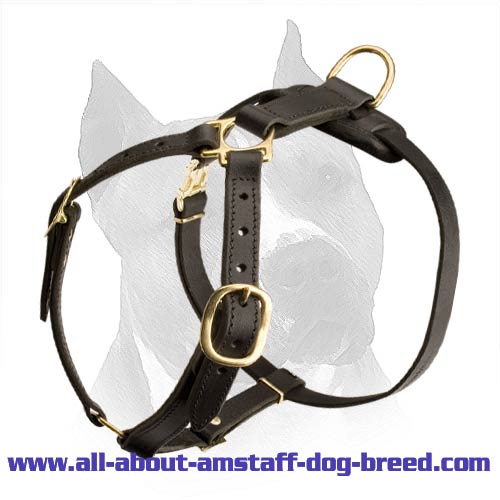Comfortable Amstaff Leather Dog Harness For Tracking And Jogging - Click Image to Close