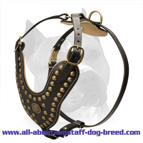 Buy Leather Amstaff Harness