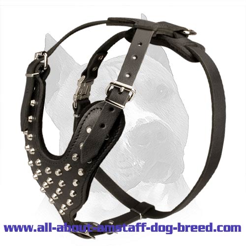 Studded With Pyramids Amstaff Leather Dog Harness
