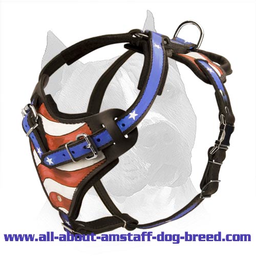 Harness for american staffy cheap