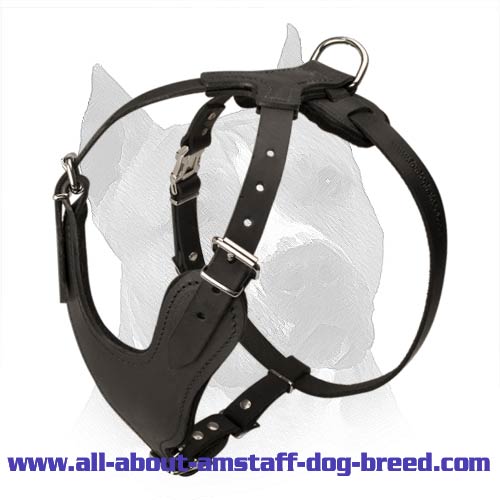 Heavy Duty Dog Harness for Amstaff