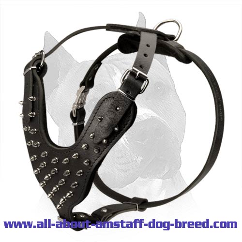 Spiked Leather Dog Harness for Amstaff Dog Breed