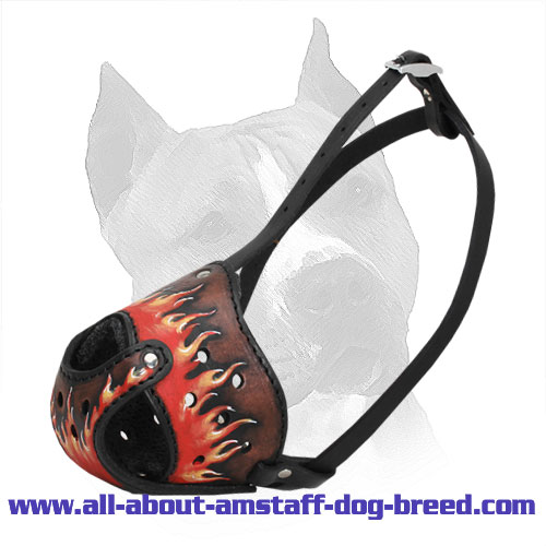 Designer Leather Dog Muzzle for American Staffordshire Terrier