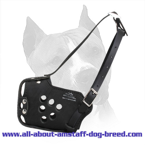 Attack/Agitation Training Leather Amstaff Muzzle