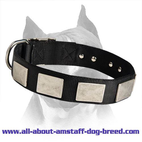 Nylon Dog Collar With Vintage Plates For Amstaff Dog Breed